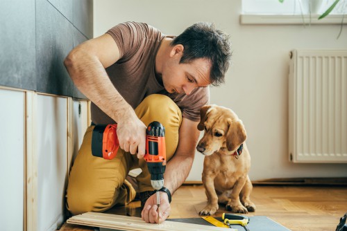 puppy watching as floor installed