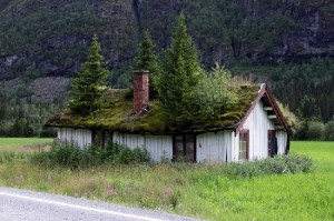 green roof on small house