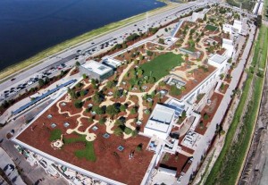 Facebook green roof