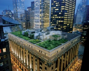 Chicago City Hall green roof