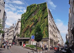 green wall Paris