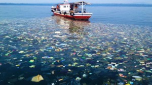 the great pacific garbage patch