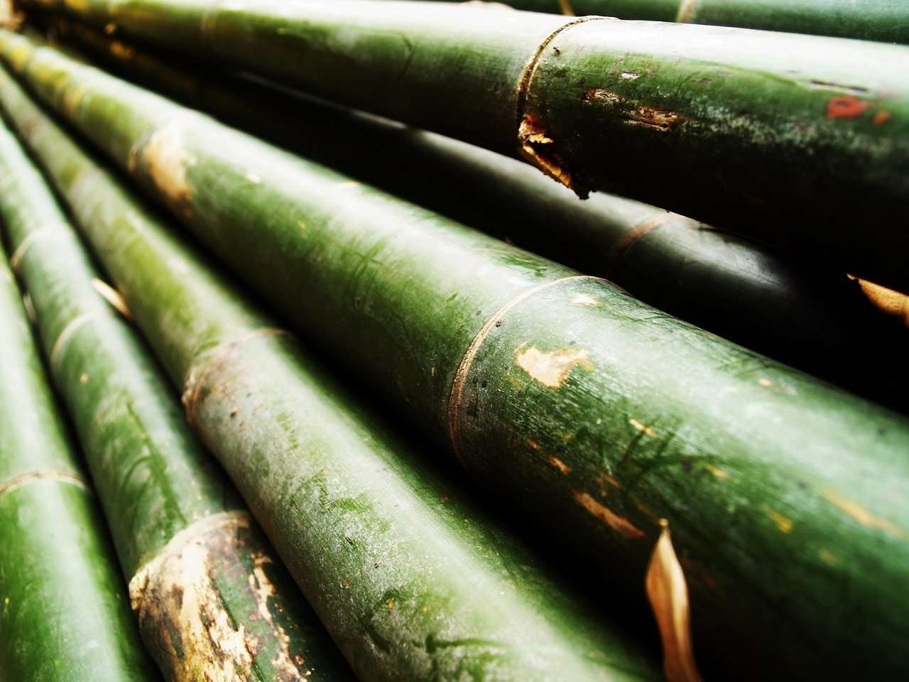 is bamboo considered hardwood flooring
