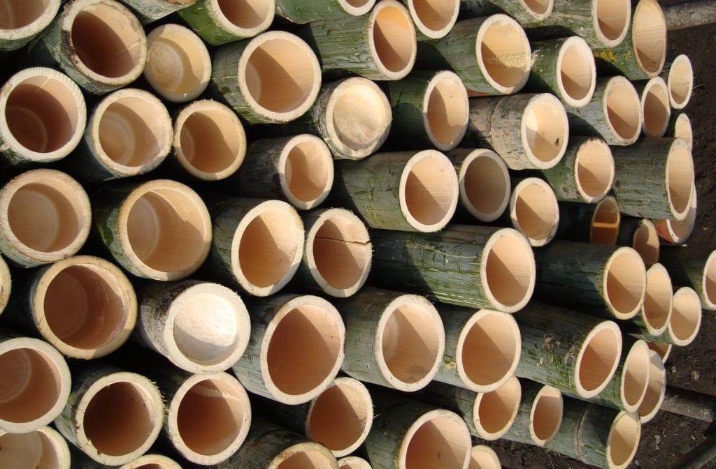 bamboo-flooring-culms6