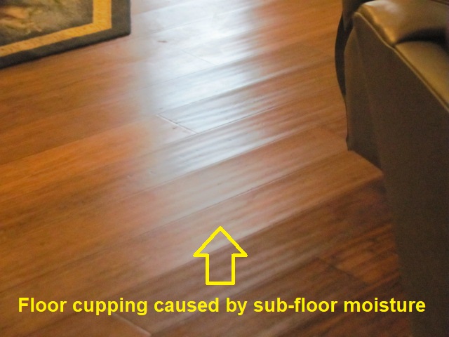 Floor Cupping Due To Subfloor Moisture