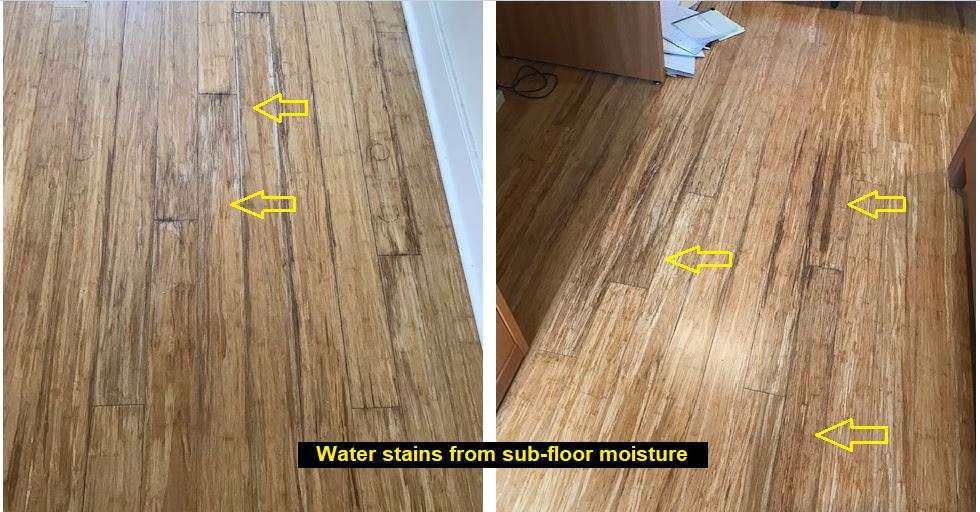 Dark Stains Wood Flooring Water Damage