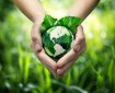 Hands holding green globe with grassy background for green living concept