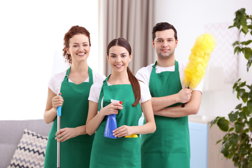 Cleaning service team working in living room