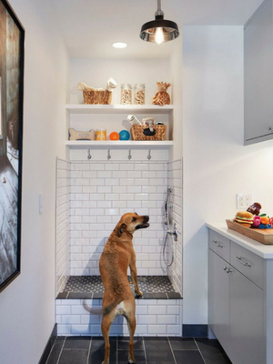 Dog Shower in Pet-Friendly Home Renovation