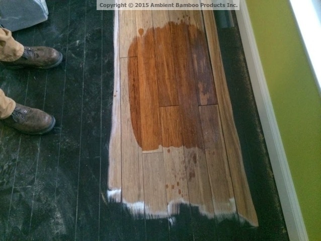 Bamboo Floor Being Refinished From Dark to Brown