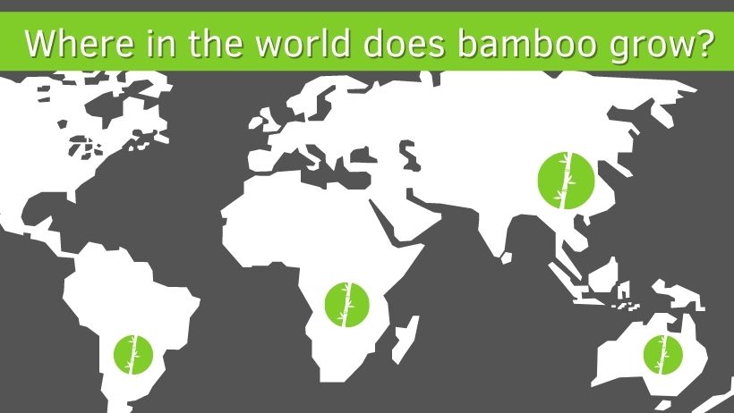 places-world-bamboo-growth