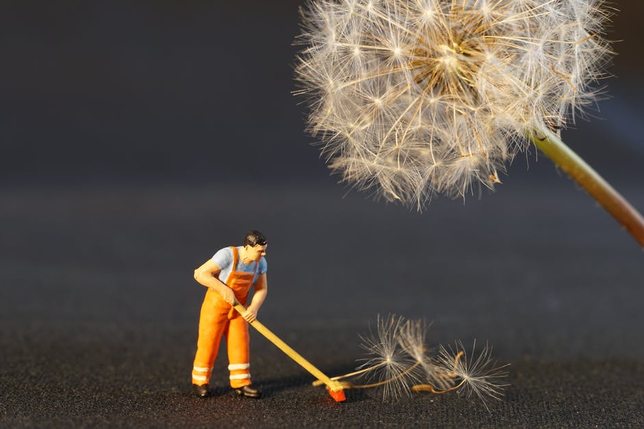 Miniature janitor figurine sweeps up pieces of dandelion seed