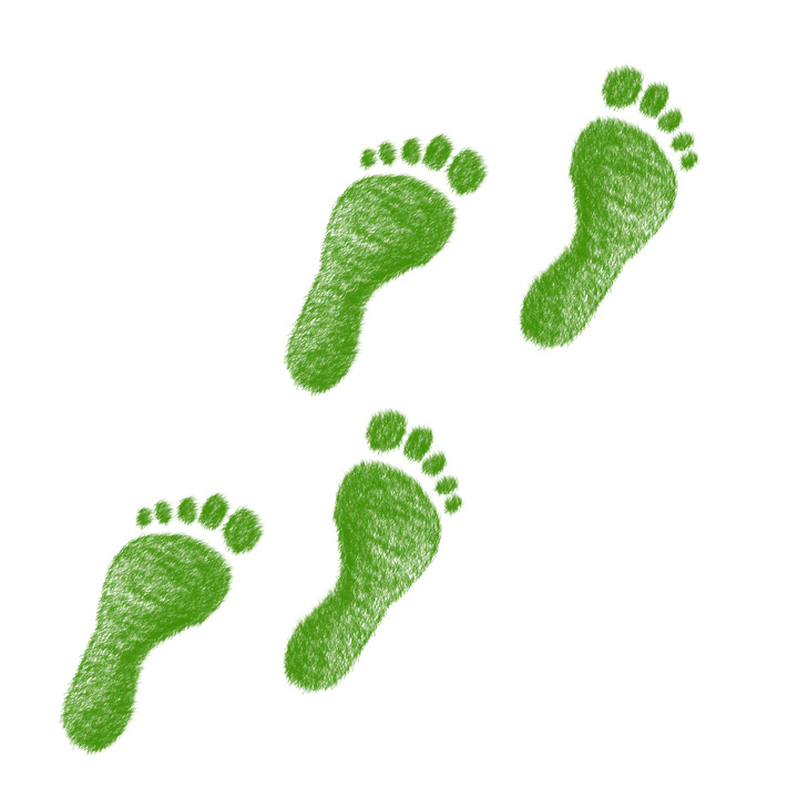 Reduce your carbon footprint