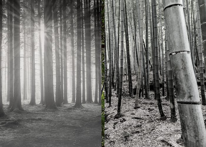 bamboo-vs-hardwood-pretty