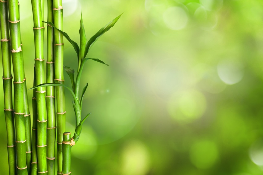 locking bamboo floors