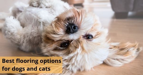 Best flooring options for dogs and cats