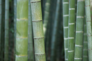 bamboo floor trim