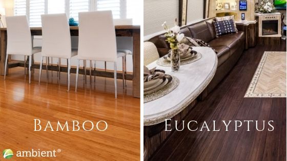 bamboo-and-eucalyptus-flooring-options