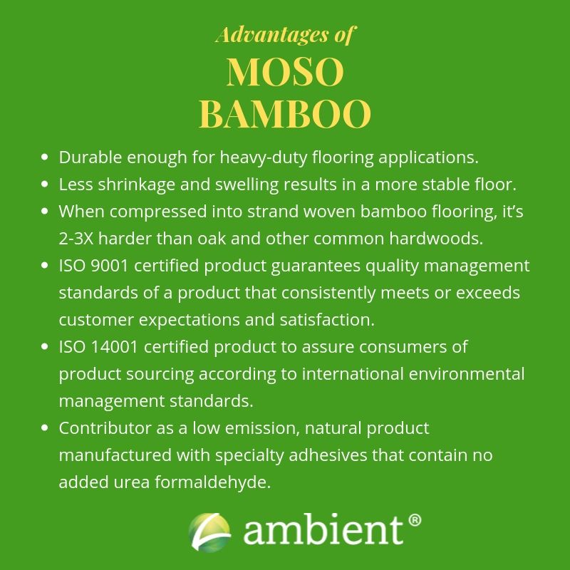 advantages-of-moso-bamboo