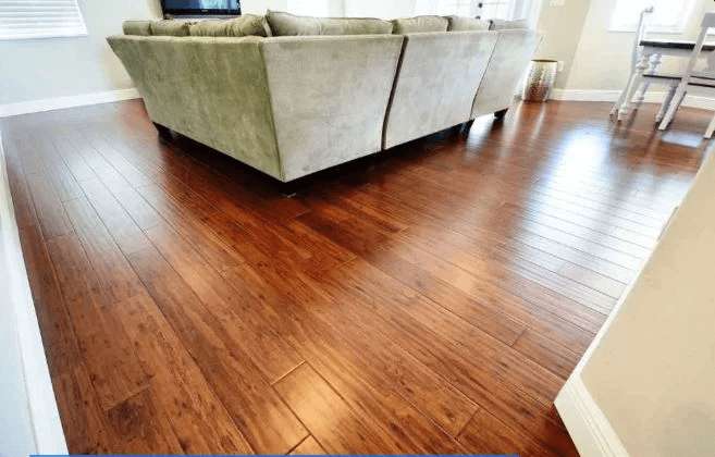 Living room with couch and warm brown wood flooring