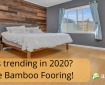 Blonde Bamboo Flooring trending in 2020