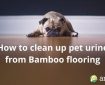 pet urine bamboo flooring