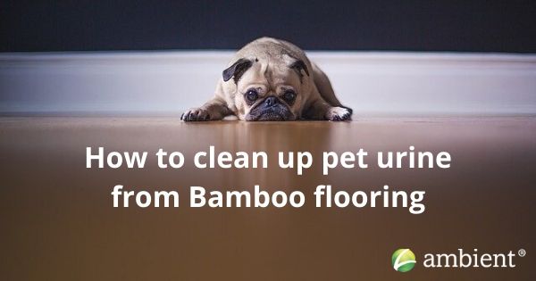 pet urine bamboo flooring