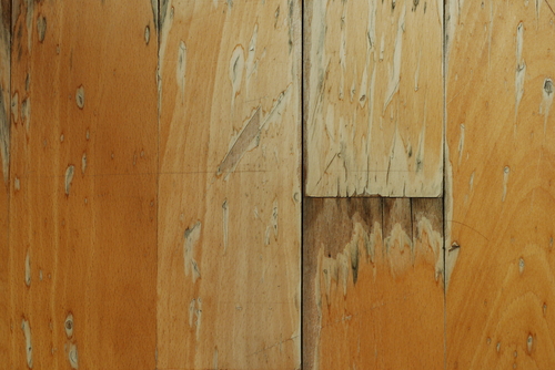 water-damage-hardwood-floor