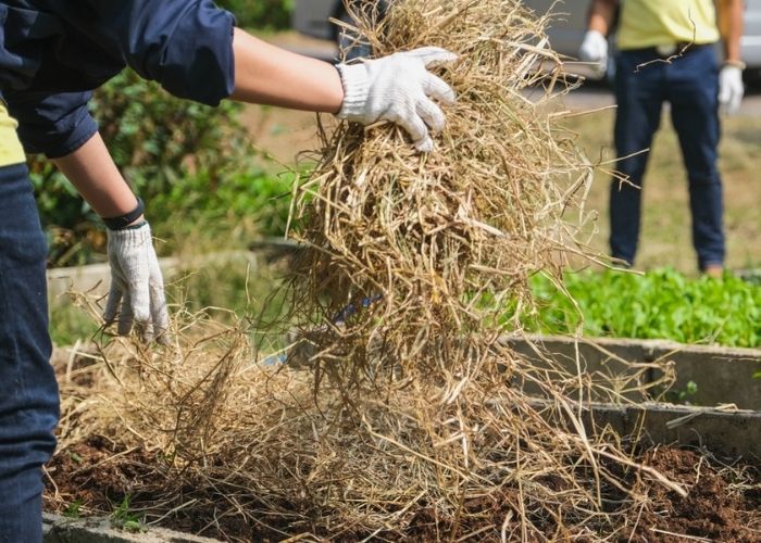 put-straw-hay-on-compost-in-winter