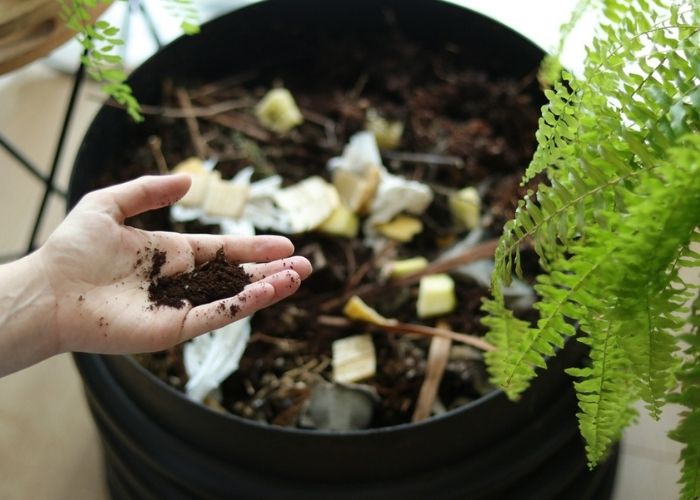spring-compost