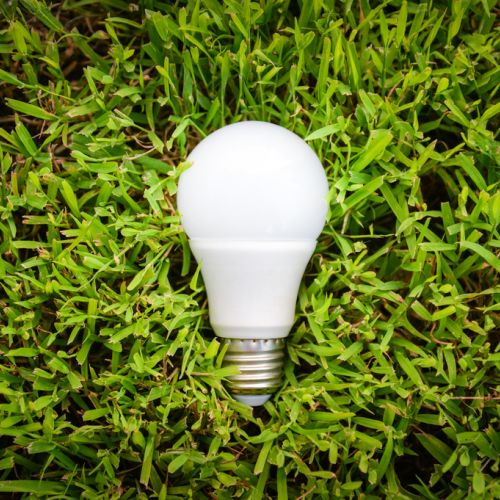 LED bulb in grass tops green living tips that don't cost much money