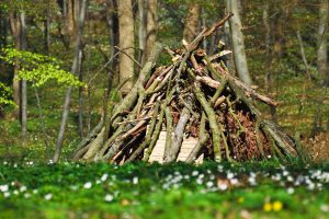 brush pile green landscaping