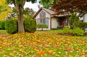 raking leaves keeping yard presentable