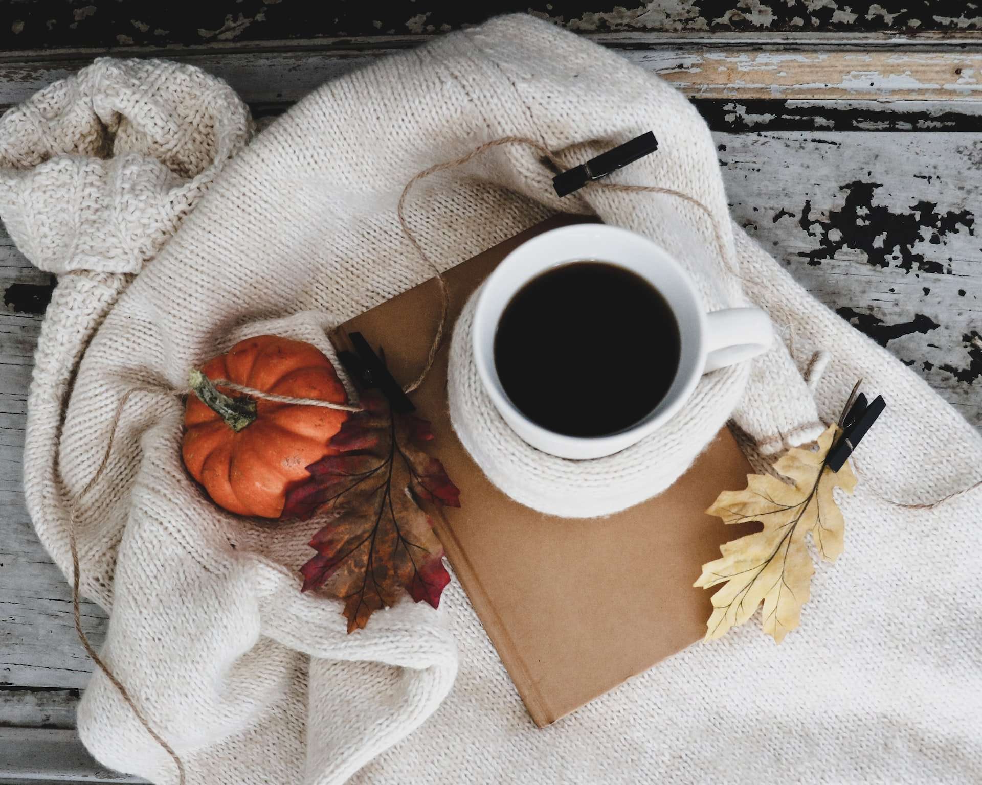 autumn decor tea cup mini pumpkin shawl