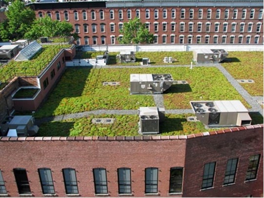green roof on building shows sustainable building practice in Massachusetts