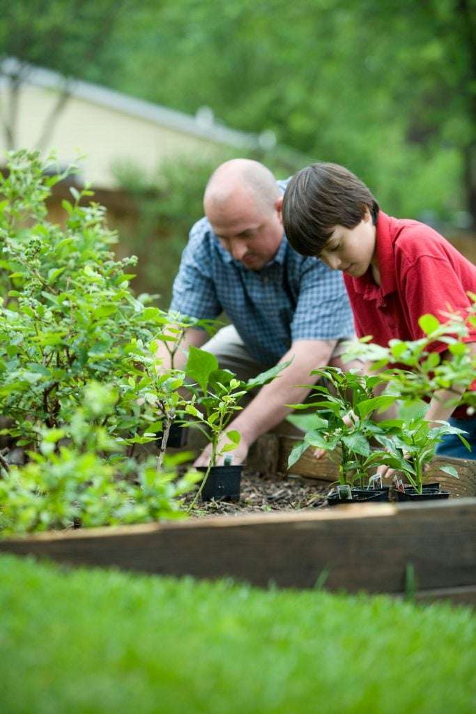 A gardener uses a planter box to keep pests out of his self-sufficient garden.