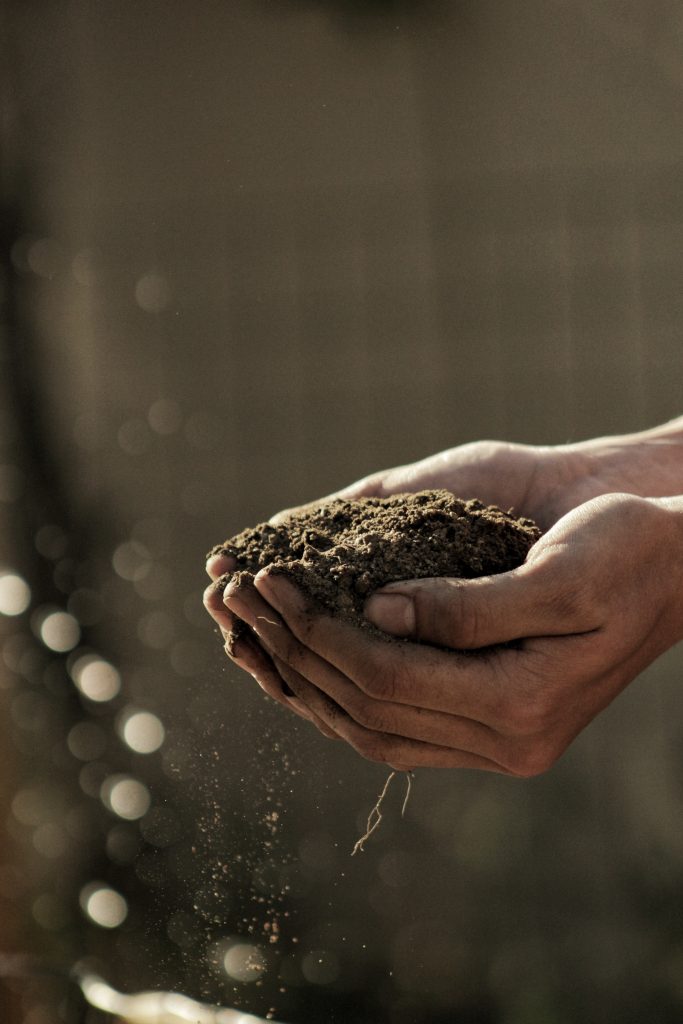 Imagine scooping up handfuls of nutrient-rich, fresh, homemade compost for your garden or houseplants. 