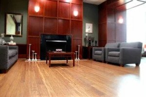 living room with light brown flooring and fireplace