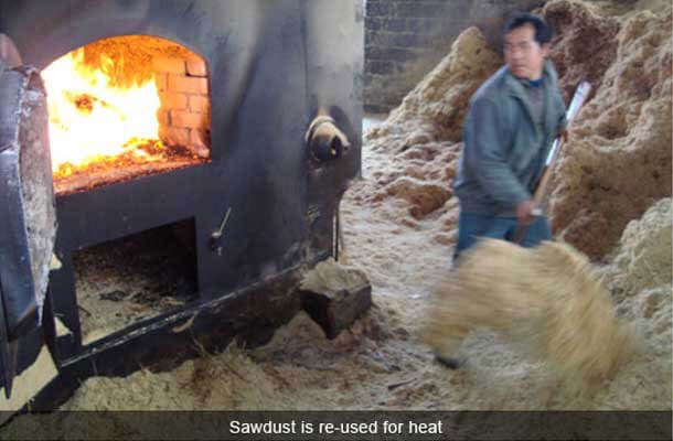 bamboo sawdust