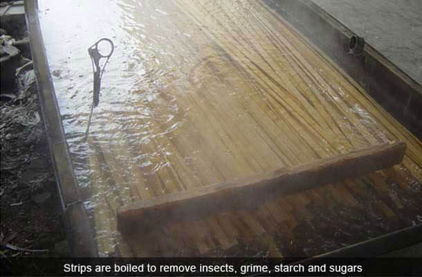 bamboo pest and decay prevention