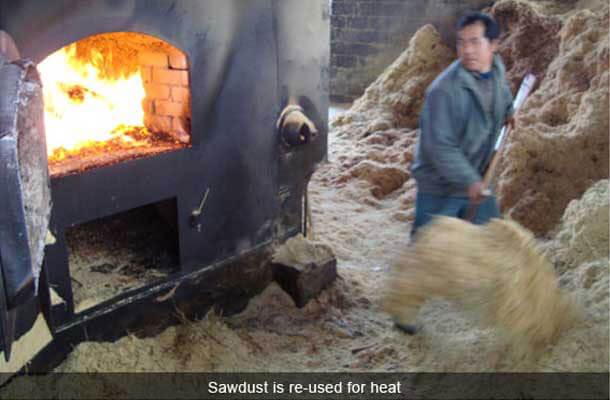 bamboo sawdust