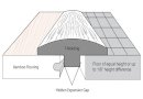 Bamboo Tmolding Transition Diagram thumbnail